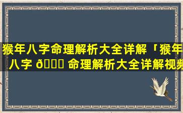 猴年八字命理解析大全详解「猴年八字 🐅 命理解析大全详解视频」